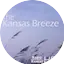 Logo Kansas Breeze