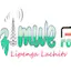 Logo Dzimwe Community Radio