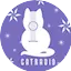 Logo Happy New Cat