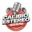 Logo CALIBIO ESTEREO COLOMBIA