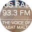 Logo Mics Radio 93.3 Fm