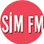 Logo Rede SIm