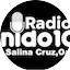 Logo Sonido100 salina cruz