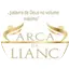 Logo Web Radio Arca Da Aliança