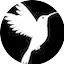 Logo Radio FiliplayTv
