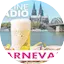 Logo 0nlineradio Karneval