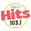 Logo Rádio Hits Fm 103,1