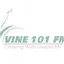 Logo Vine 101 Fm