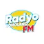 Logo Radyo Boholano FM