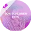 Logo SchlagerPlanet - 100% Schlager-Hits