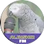 Logo Albishir FM Bauchi