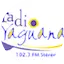 Logo Yaguana FM