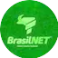 Logo Brasil Net Itabuna