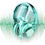 Logo Web Rádio Ilhéus Web