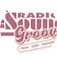 Logo Radio Sound Groove
