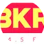 Logo BKR