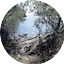 Logo 24/7 Country Walks Radio
