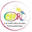 Logo CEFRadio