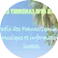 Logo Las Terrenas Web Radio