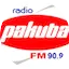 Logo Pakuba Fm 90,9 Mhz