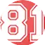 Logo Radio Rede News 81.3 FM