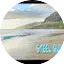Logo Steel Guitar Island Radio