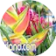 Logo Aloha Joe's Ukulele Island Radio