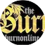 Logo The Burn Online