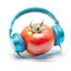 Logo Web Rádio Capital Do Tomate