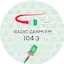 Logo Radio Zanmi Fm