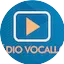 Logo Rádio Vocall