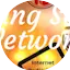 Logo WGSN-DB Going Solo Network