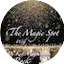 Logo The Magic Spot