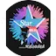 Logo Star Fm 101.5