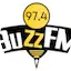 Logo Buzz FM
