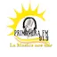 Logo Radio Primavera fm 91.9