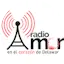 Logo Radio Amor Delaware