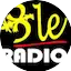 Logo BLE Radio