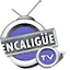 Logo Pencaligue tv radio