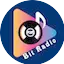Logo Bit Radio Plus