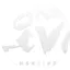 Logo NSR LIVE