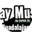 Logo PlayMusic Guadalajara