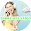 Logo Radio ibarra web