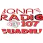 Logo BQNA RADIO 107