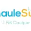 Logo Radio Maule Sur