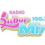 Logo Radio Sabor Mix - Puno