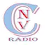 Logo Cnv Instrumental