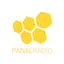 Logo Panal Radio