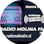 Logo Radio Molina FM Curicó