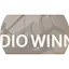 Logo Winner